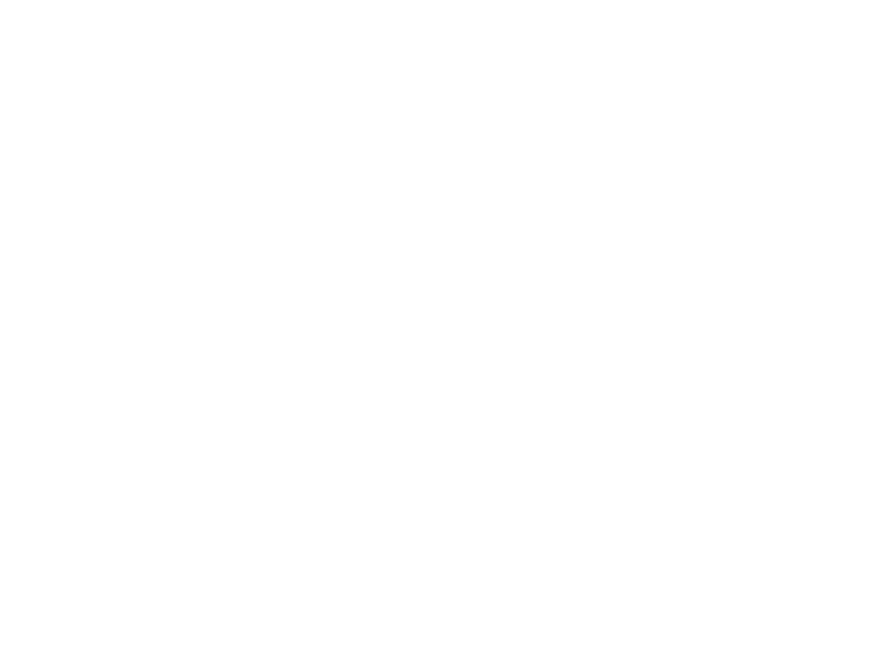 投票