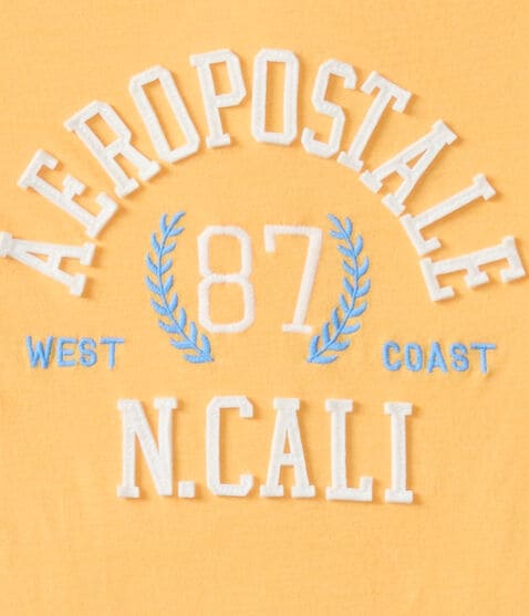 Aeropostale West Coast Appliqué Graphic Tee