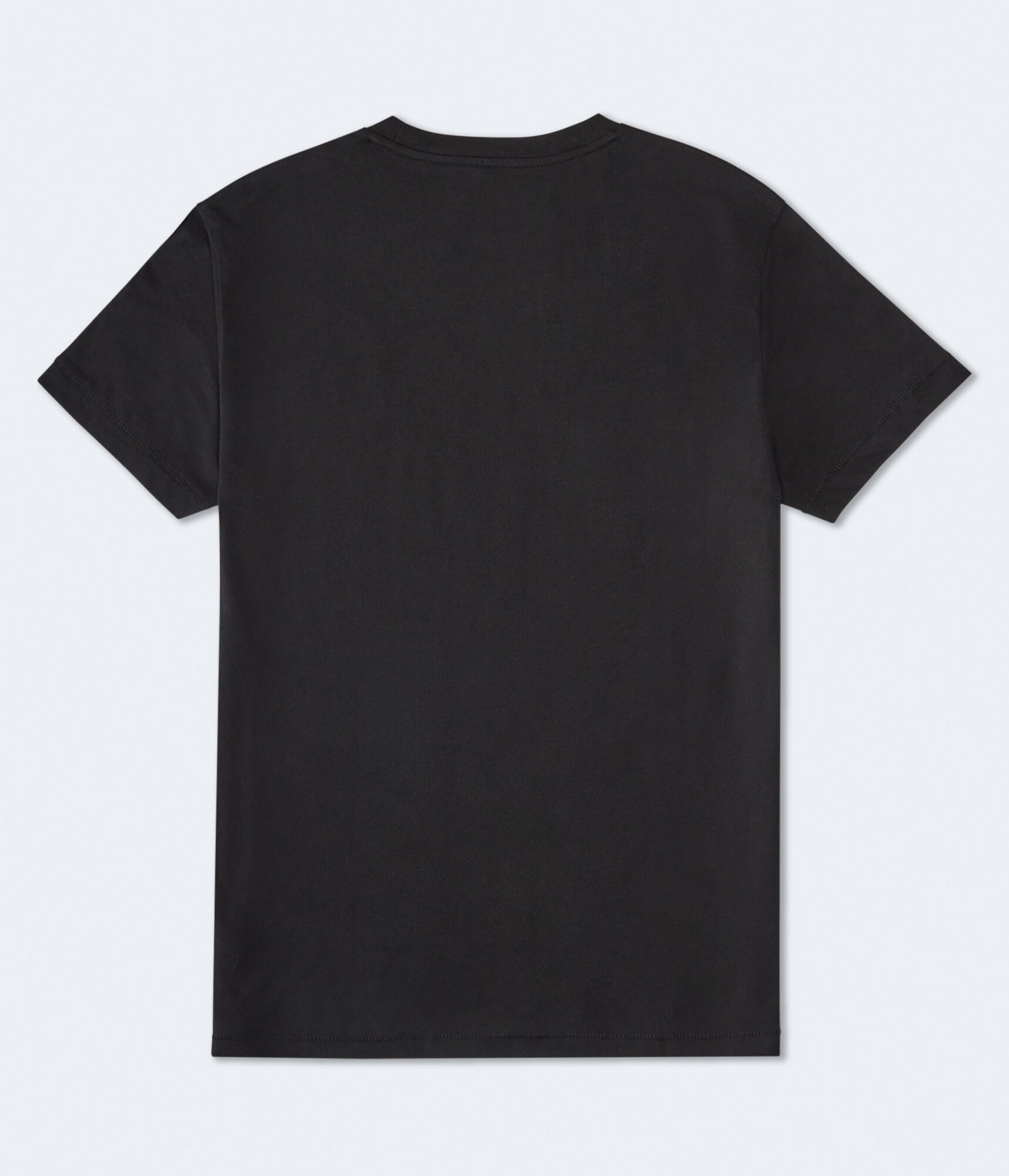 Aeropostale Laurel Circle Flocked Graphic Tee