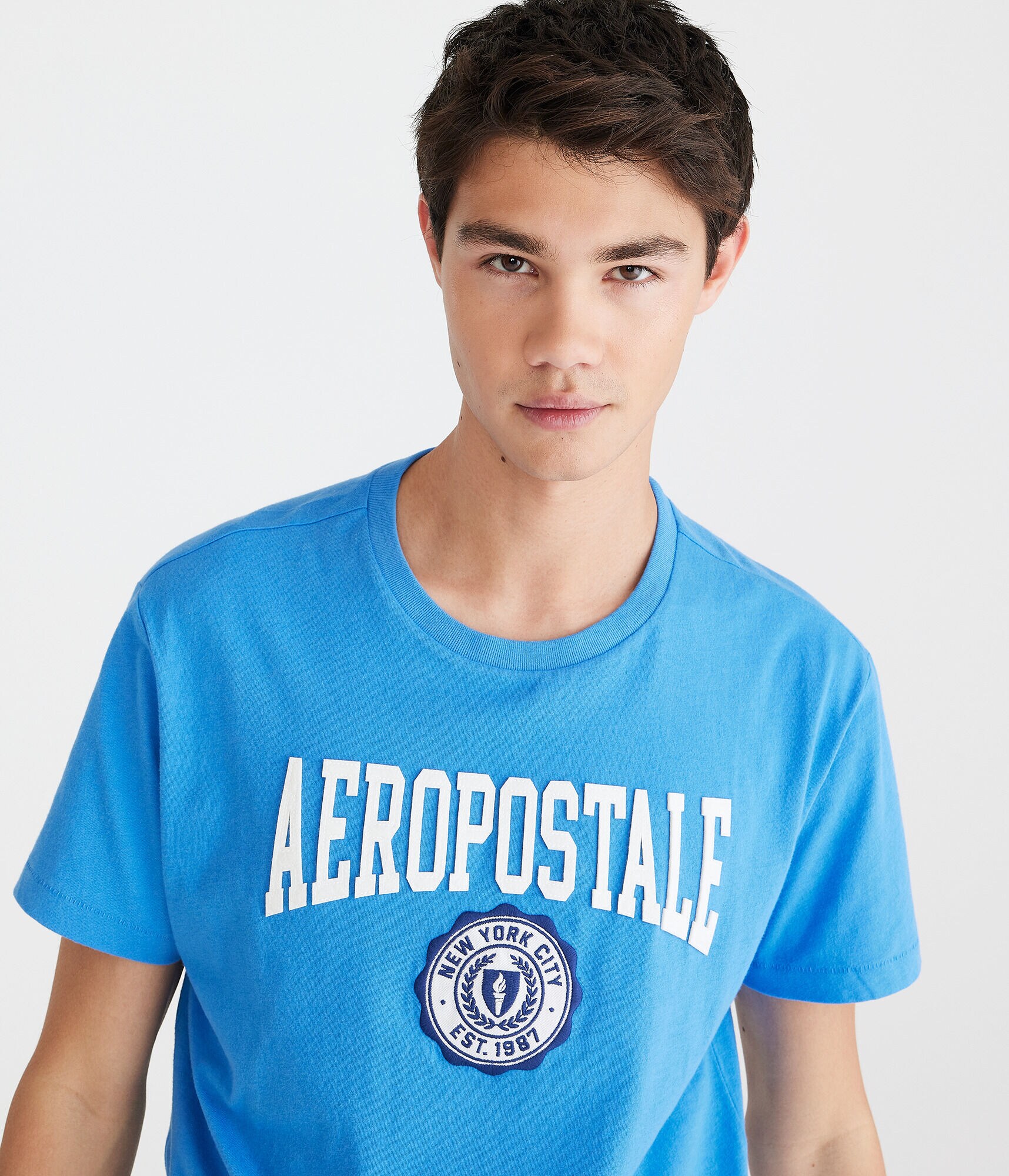 Aeropostale Crest Appliqu&eacute; Graphic Tee