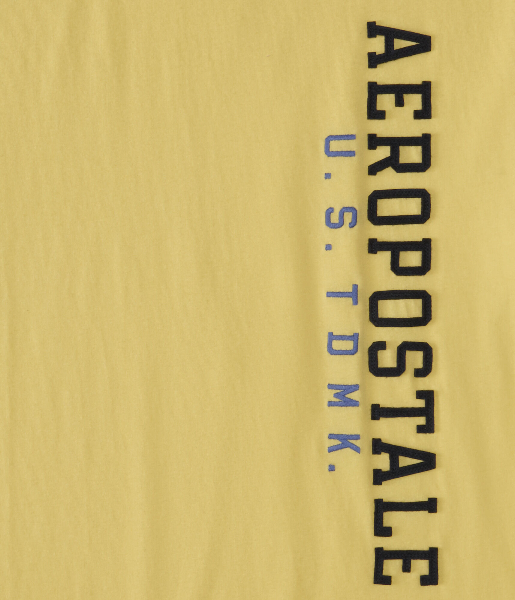 Aeropostale Vertical Appliqu&eacute; Graphic Tee