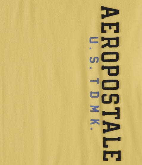 Aeropostale Vertical Appliqué Graphic Tee