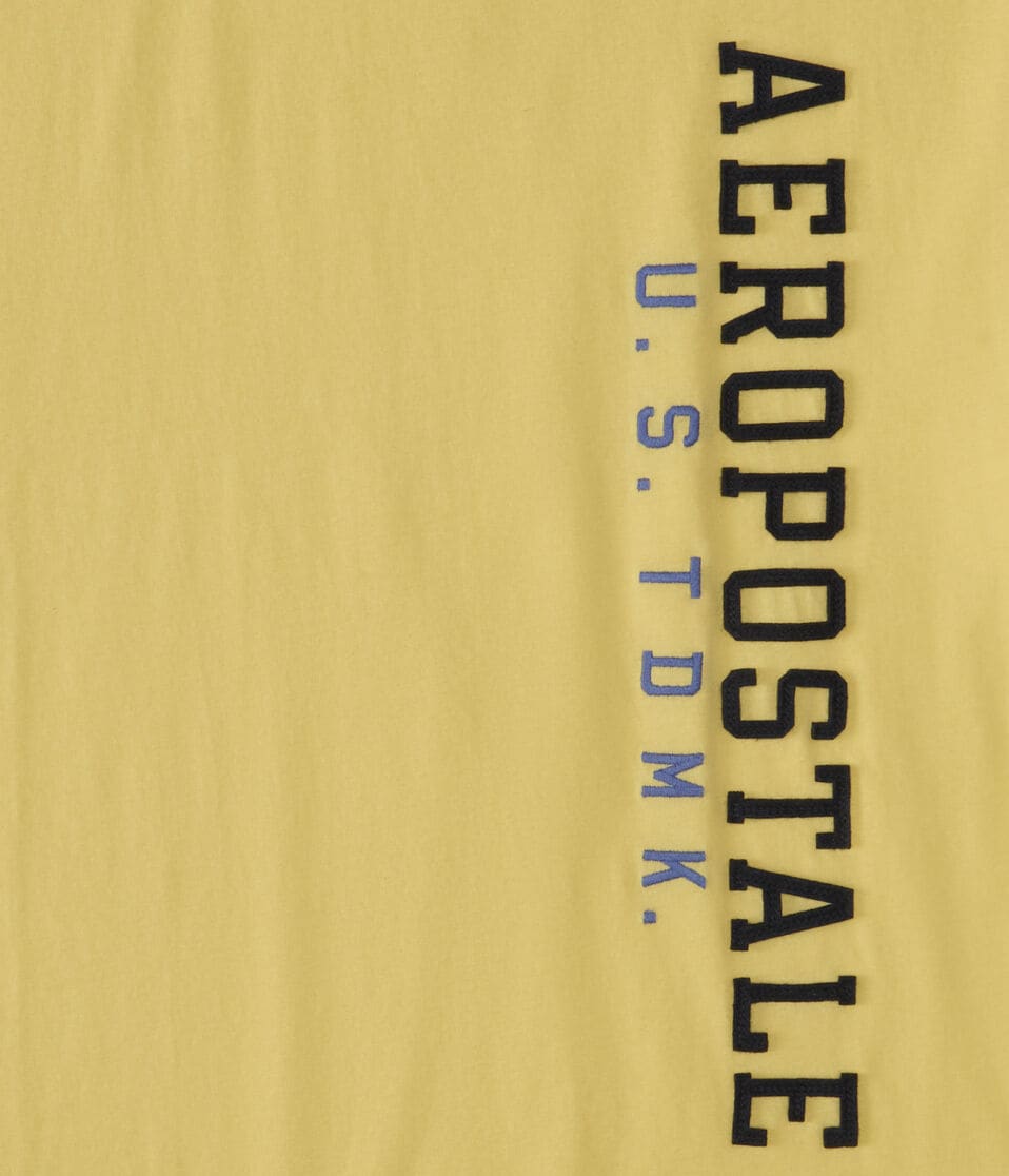 Aeropostale Vertical Appliqué Graphic Tee