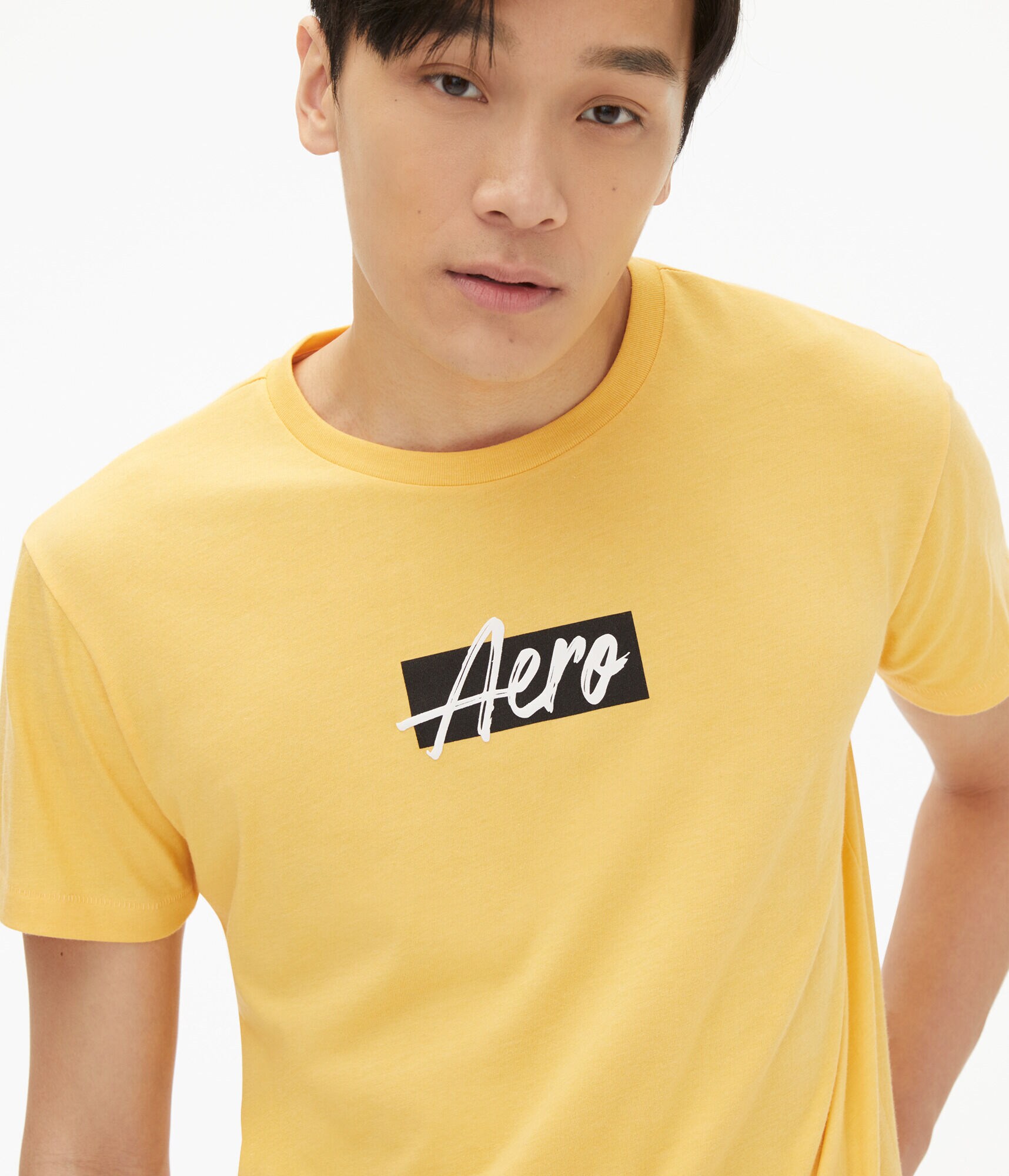 Aero Script Box Logo Graphic Tee