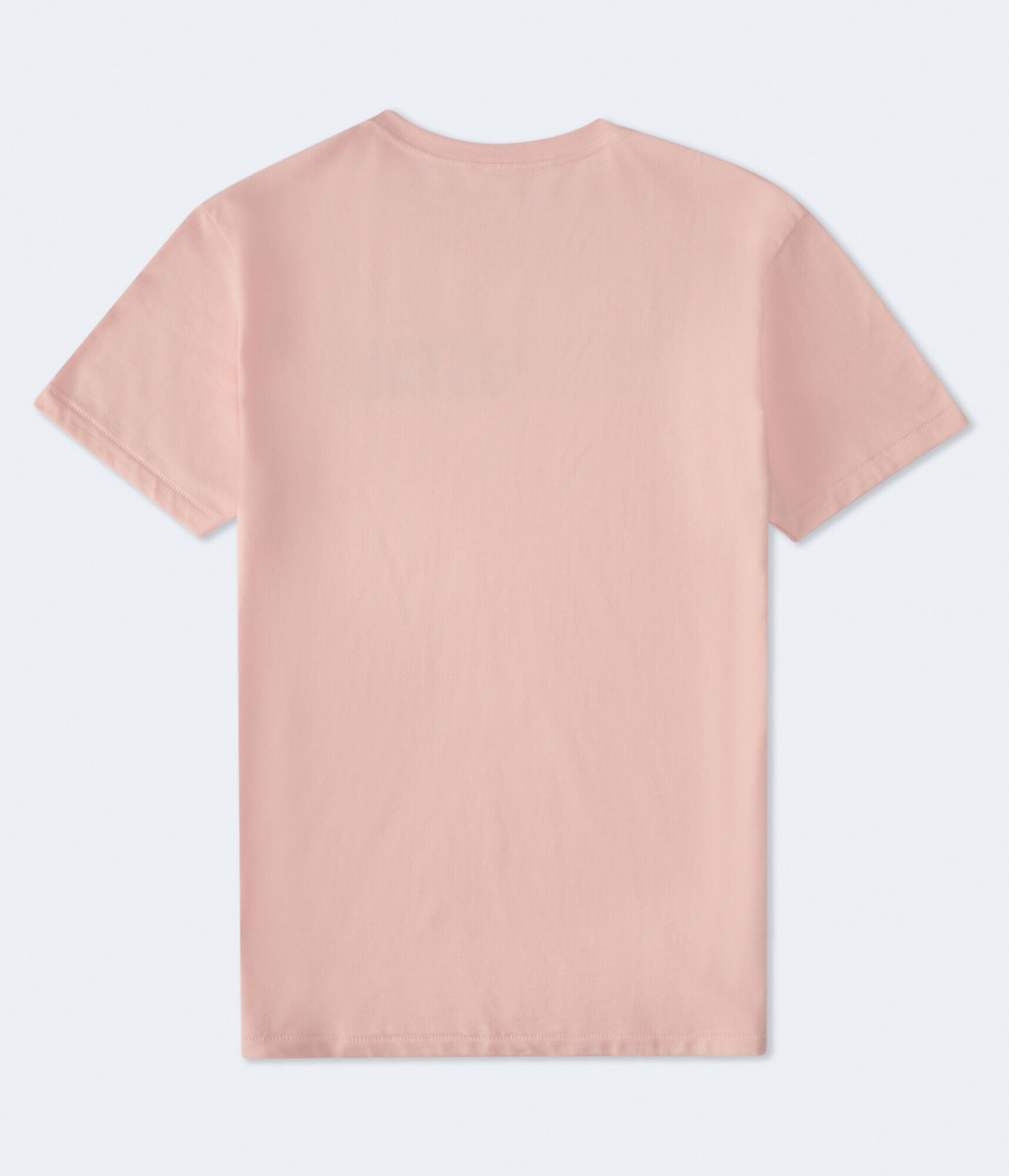 Aeropostale Authentic Logo Flocked Graphic Tee