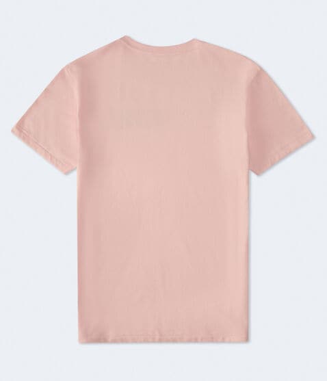 Aeropostale Authentic Logo Flocked Graphic Tee Aeropostale Authentic Logo Flocked Graphic Tee