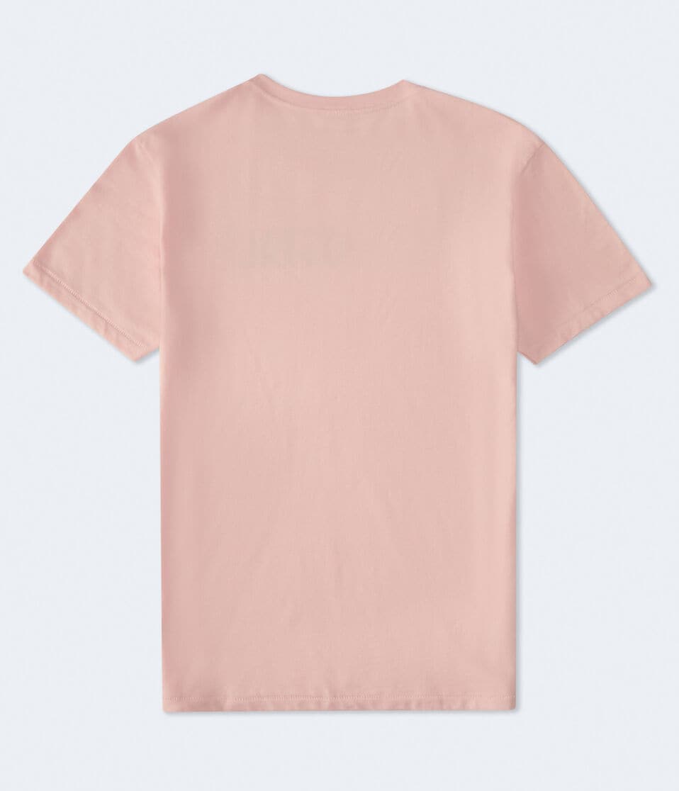 Aeropostale Authentic Logo Flocked Graphic Tee