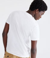 Aero California Appliqué Graphic Tee