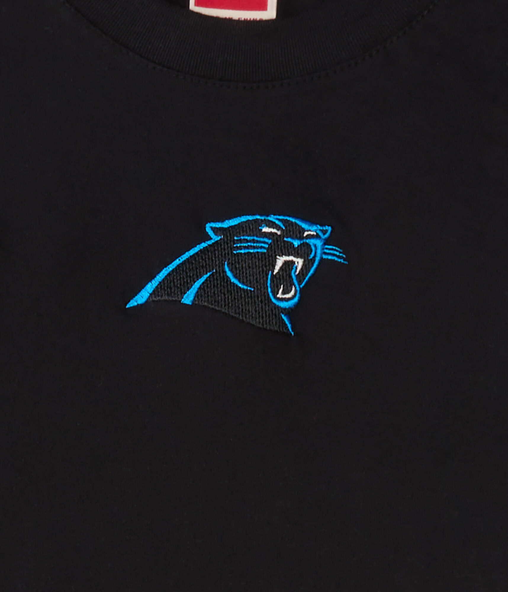 Carolina Panthers Mini Logo Relaxed Graphic Tee