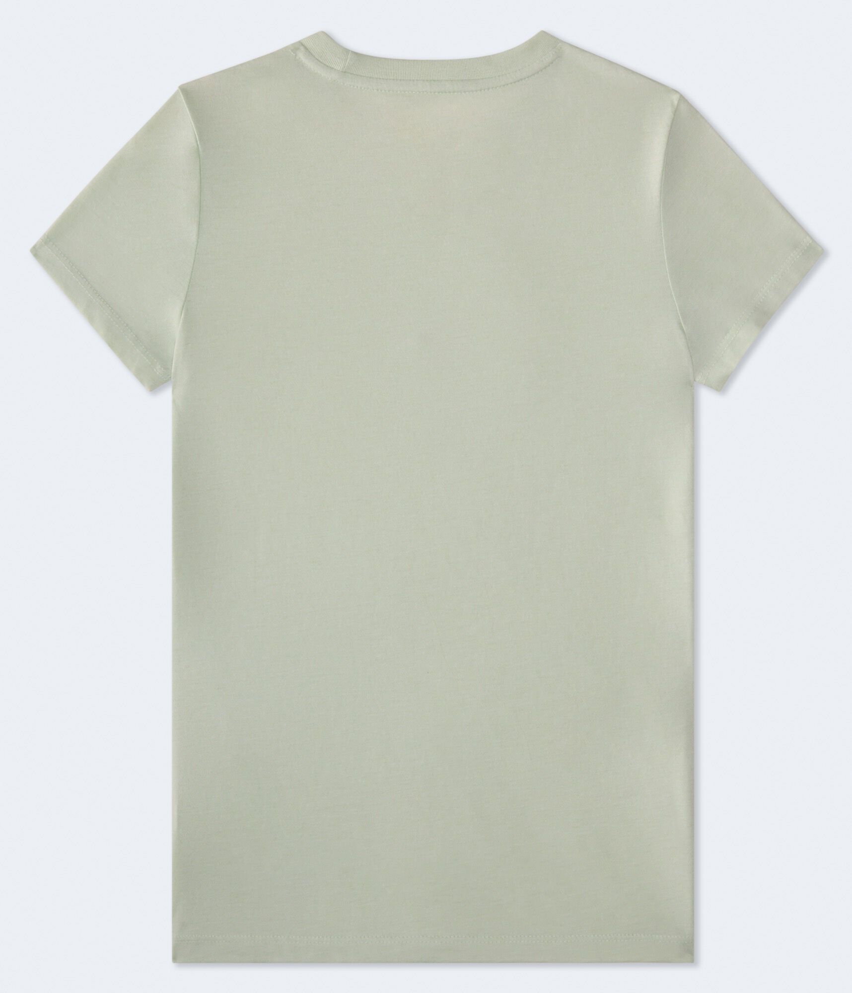 Aero 1987 Butterfly Foil Graphic Tee