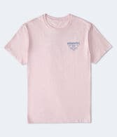 Aeropostale Triangle Logo Graphic Tee
