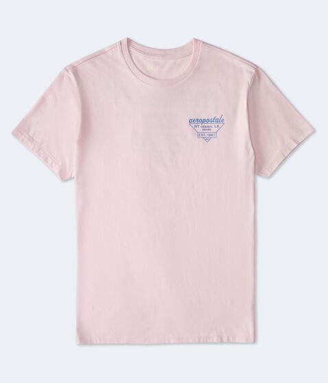 Aeropostale Triangle Logo Graphic Tee