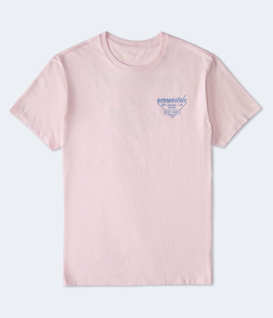 Aeropostale Triangle Logo Graphic Tee