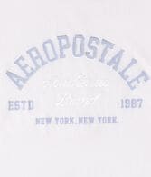 Aeropostale Arch Foil Graphic Tee