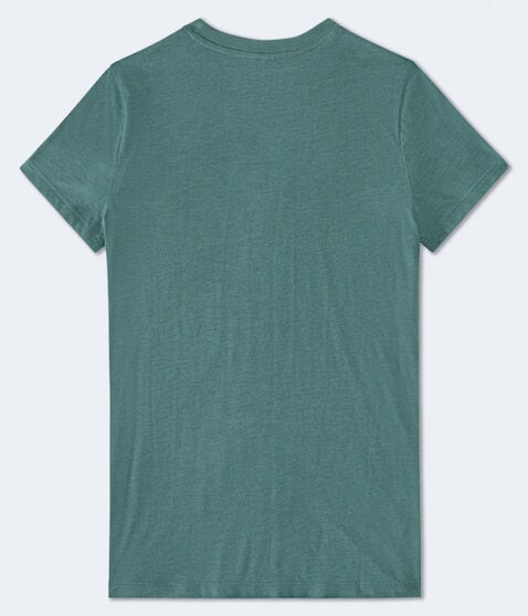 Aeropostale 87 Crest Flocked Graphic Tee Aeropostale 87 Crest Flocked Graphic Tee