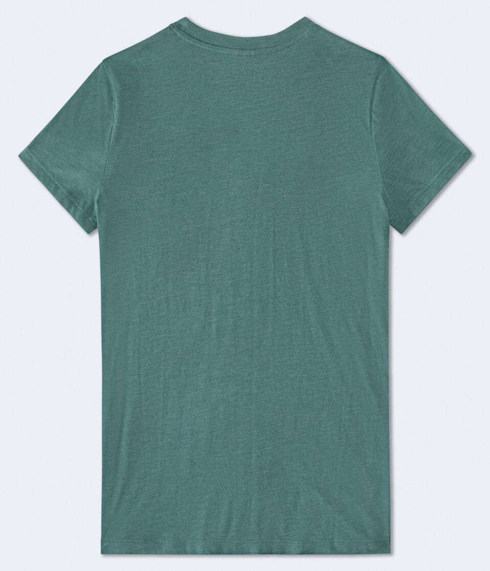 Aeropostale 87 Crest Flocked Graphic Tee