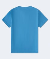 Aeropostale Authentic Logo Flocked Graphic Tee