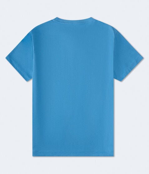 Aeropostale Authentic Logo Flocked Graphic Tee