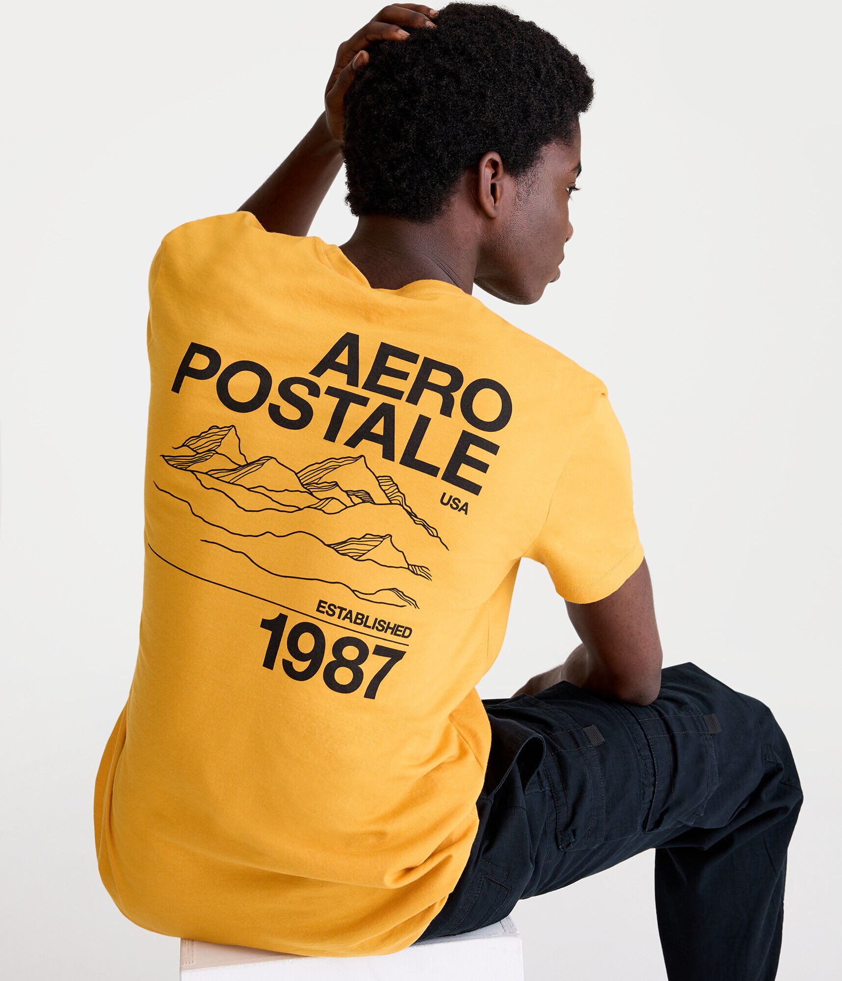 Aero Mountains Graphic Tee