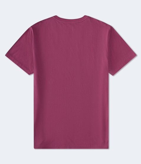 Aeropostale 87 NY Appliqué Graphic Tee Aeropostale 87 NY Appliqué Graphic Tee