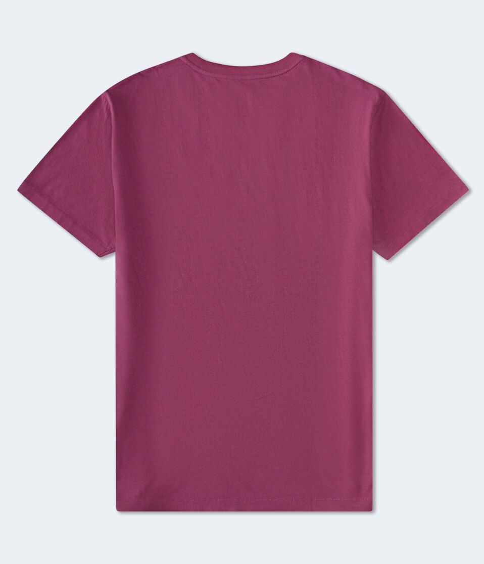 Aeropostale 87 NY Appliqué Graphic Tee