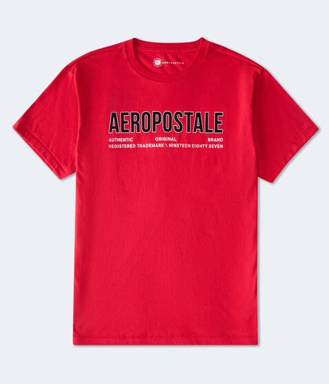 Aeropostale Authentic Logo Flocked Graphic Tee Aeropostale Authentic Logo Flocked Graphic Tee