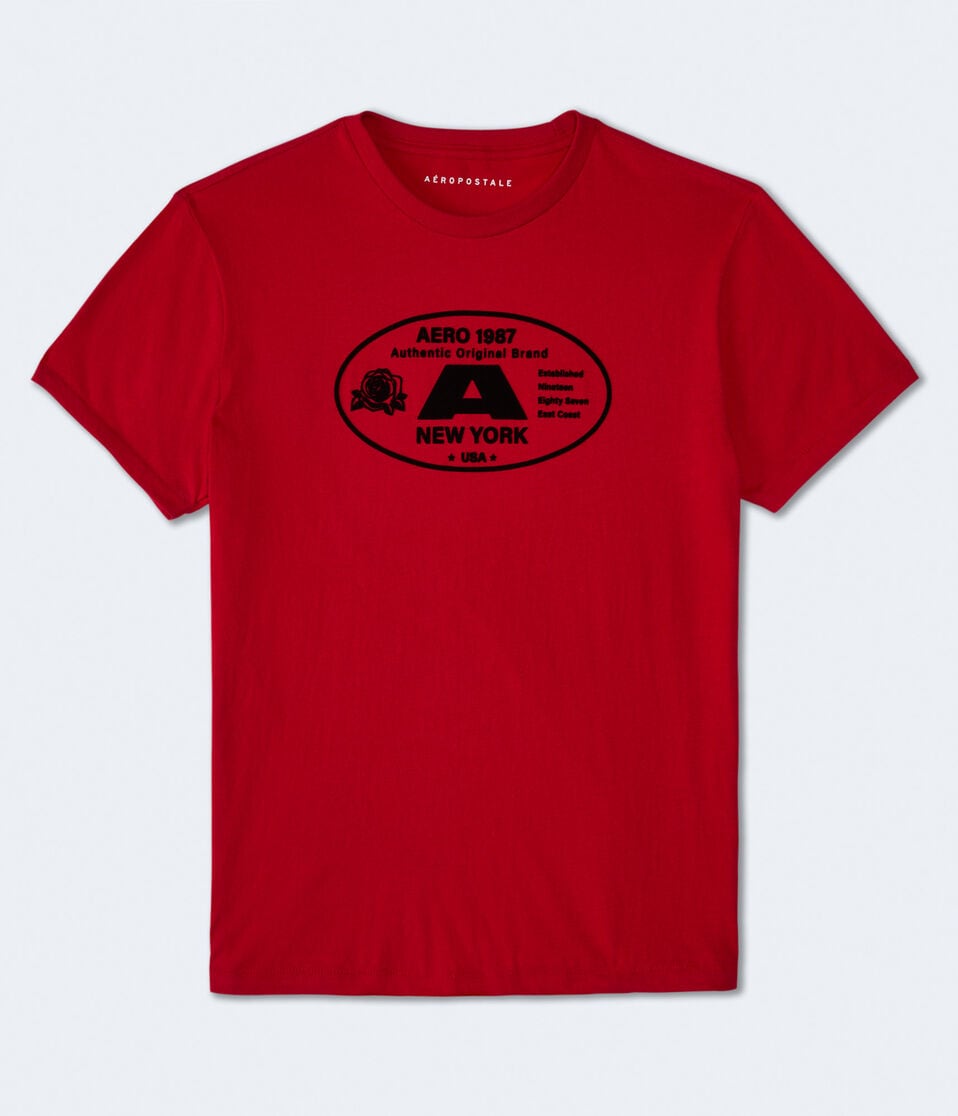 Aero 1987 Oval Flocked Graphic Tee