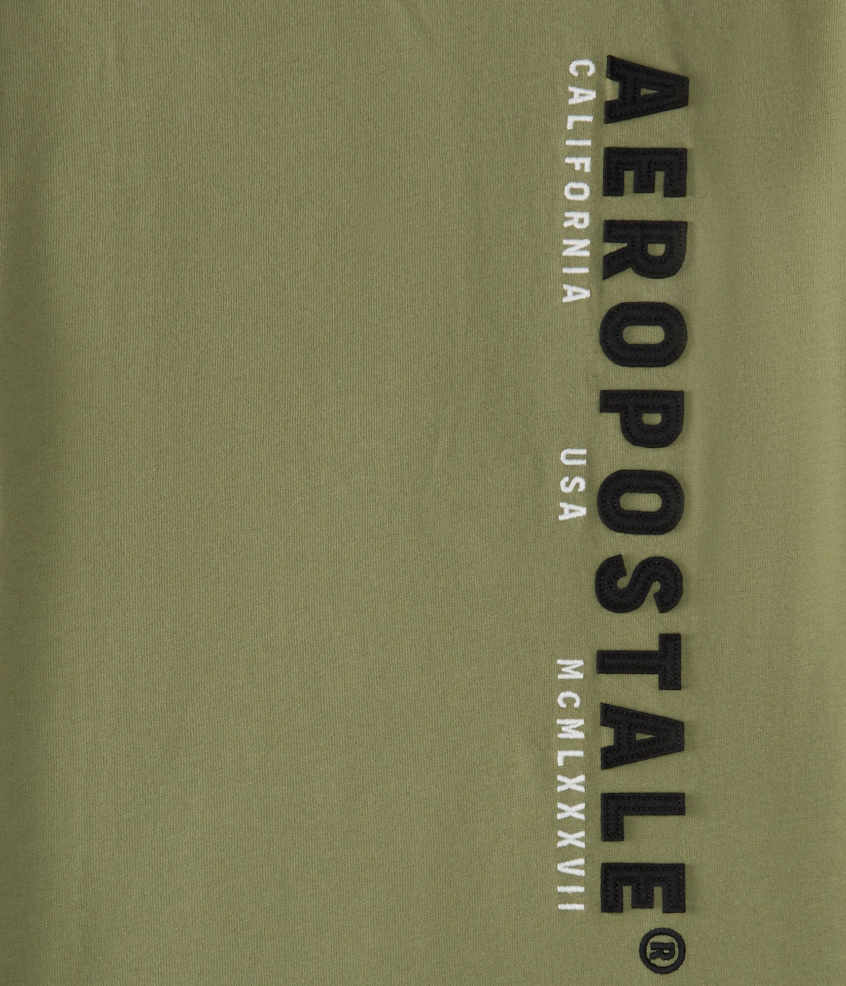 Aeropostale Vertical Logo Appliqu&eacute; Graphic Tee