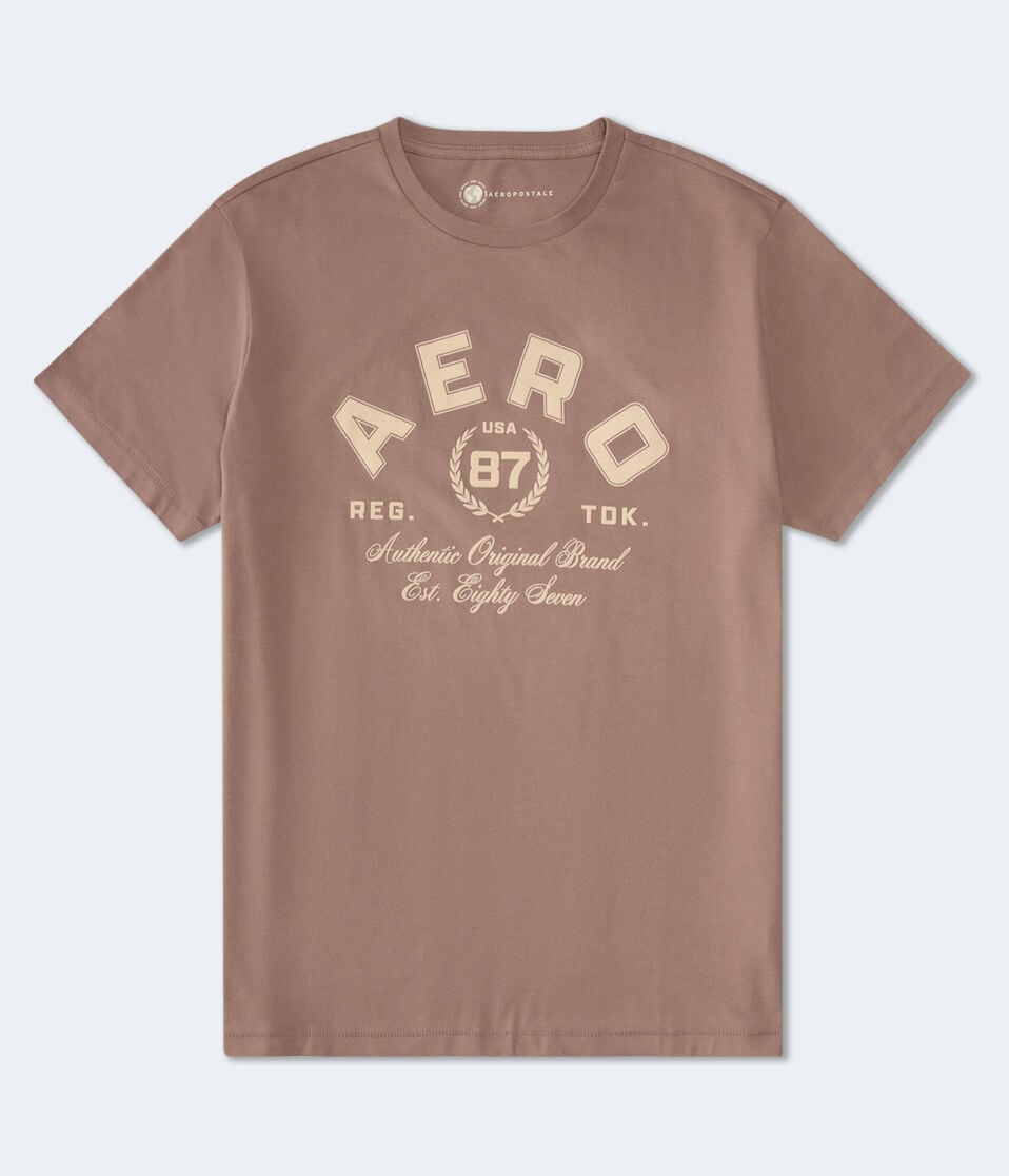 aéropostale Aero 87 Flocked Graphic Tee cool beige Clearance