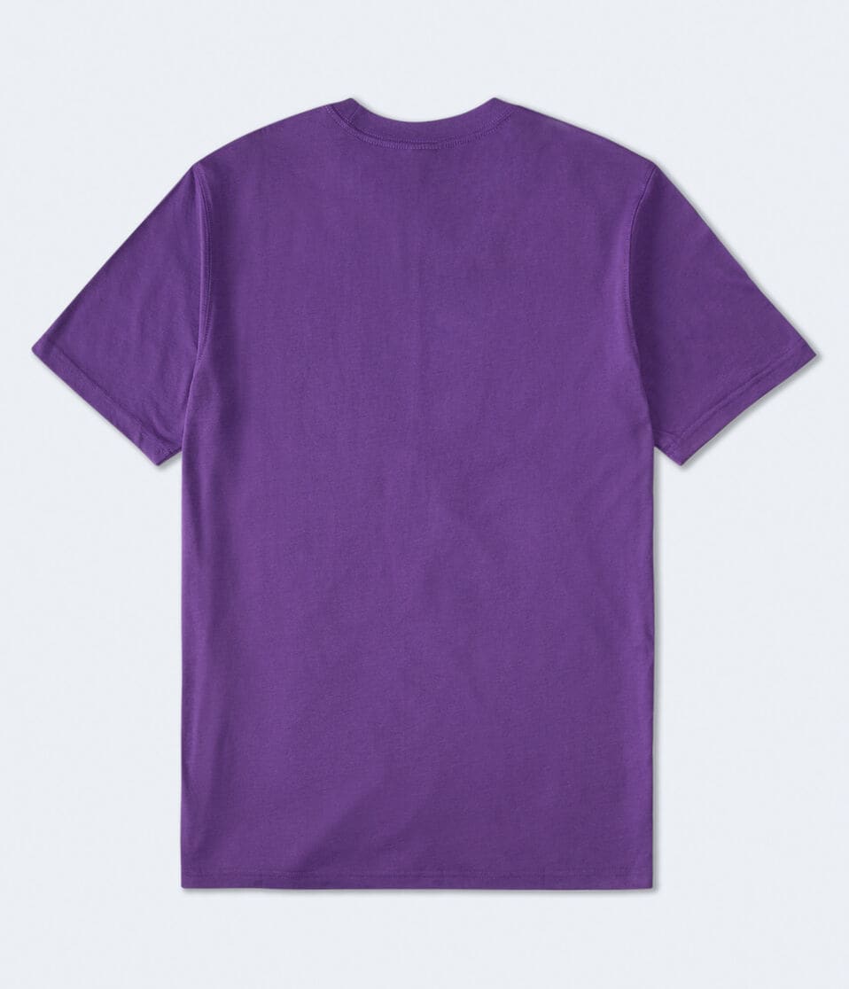 Minnesota Vikings Relaxed Graphic Tee