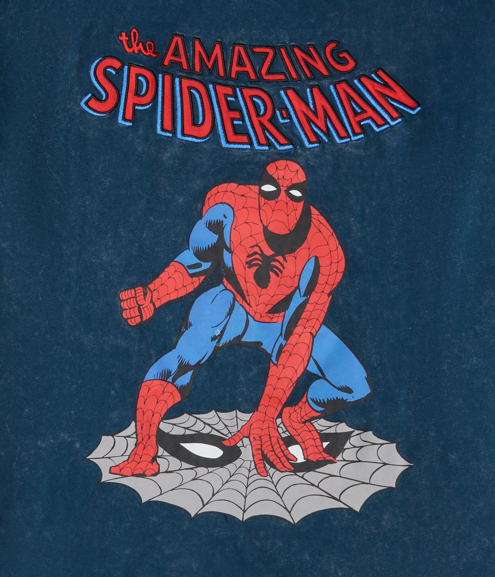 The Amazing Spider-Man Graphic Tee