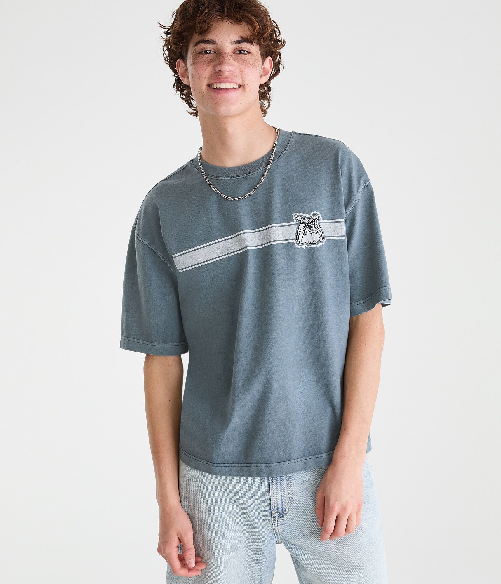 Bulldog Stripe Washed Graphic Tee