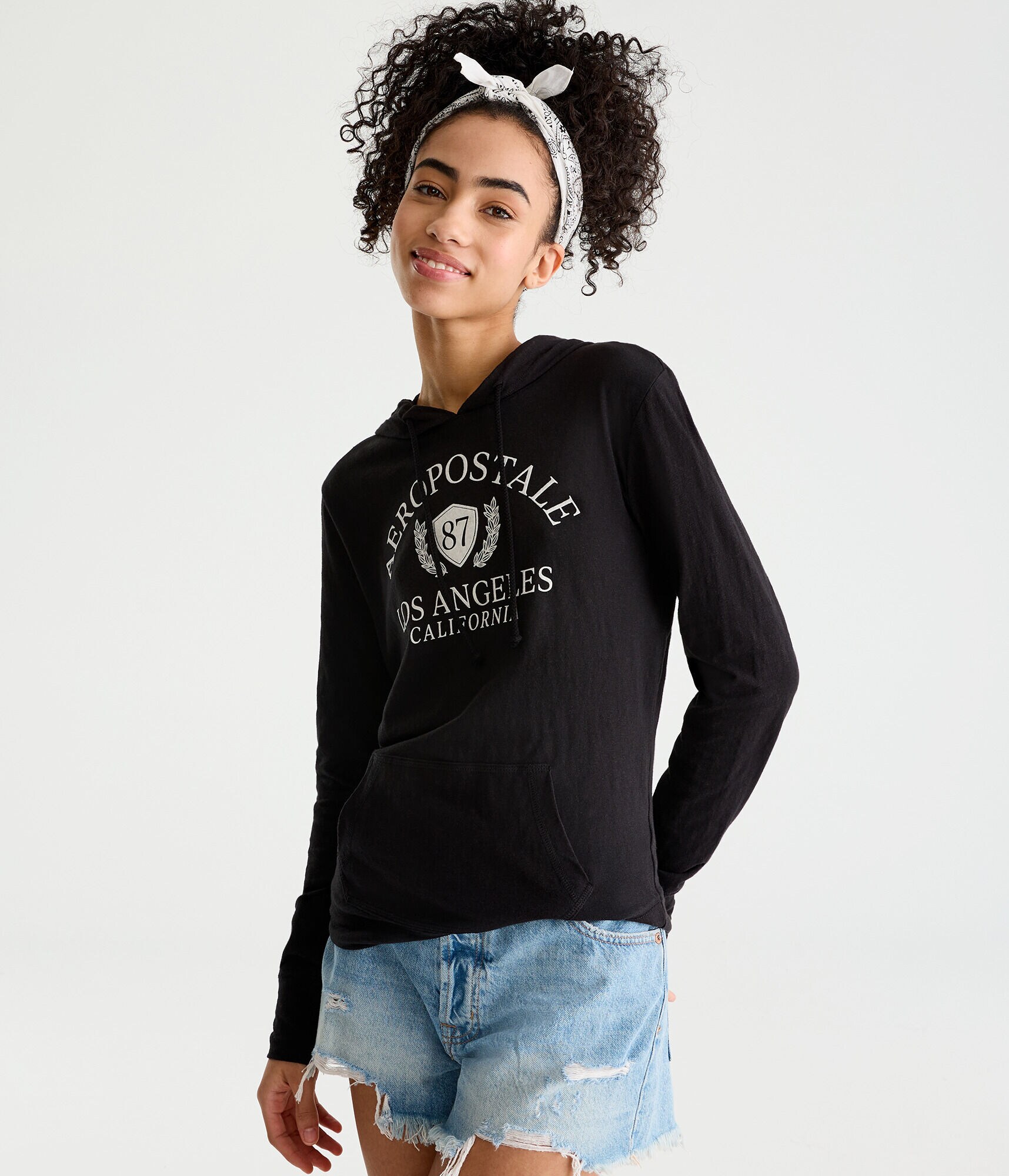 Long Sleeve Aeropostale Crest Hooded Graphic Tee