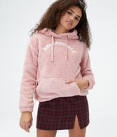 Aeropostale Logo Sherpa Fleece Pullover Hoodie