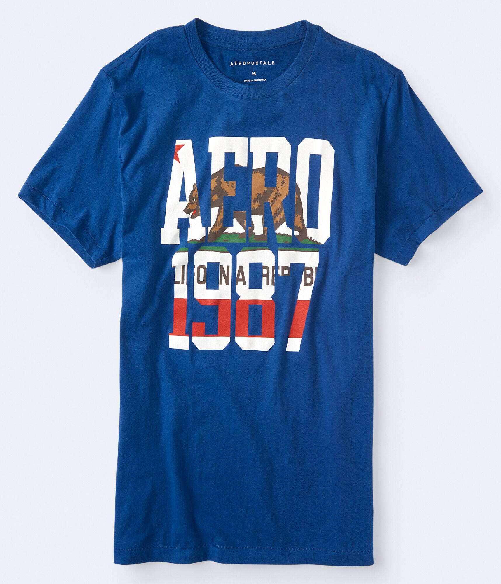 Aero Bear 1987 Graphic Tee