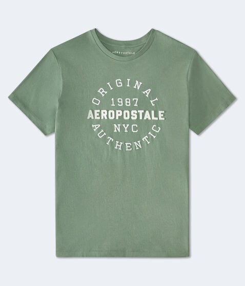 Aeropostale 1987 Circle Appliqué Graphic Tee Aeropostale 1987 Circle Appliqué Graphic Tee