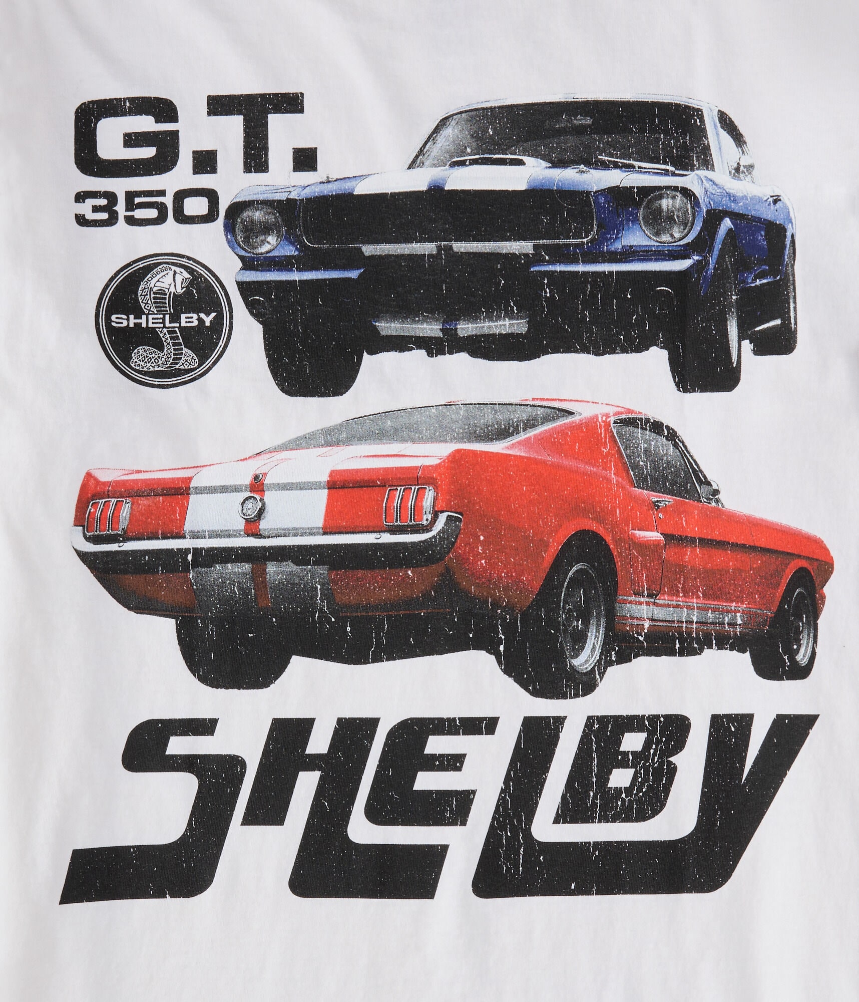 Shelby GT 350 Relaxed Graphic Tee