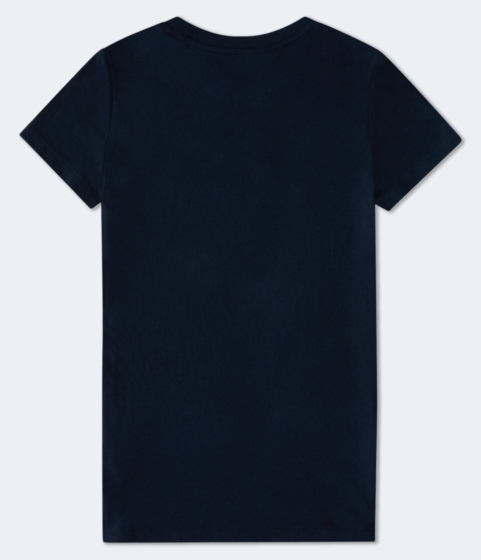 Aeropostale Wildflowers Appliqué Graphic Tee