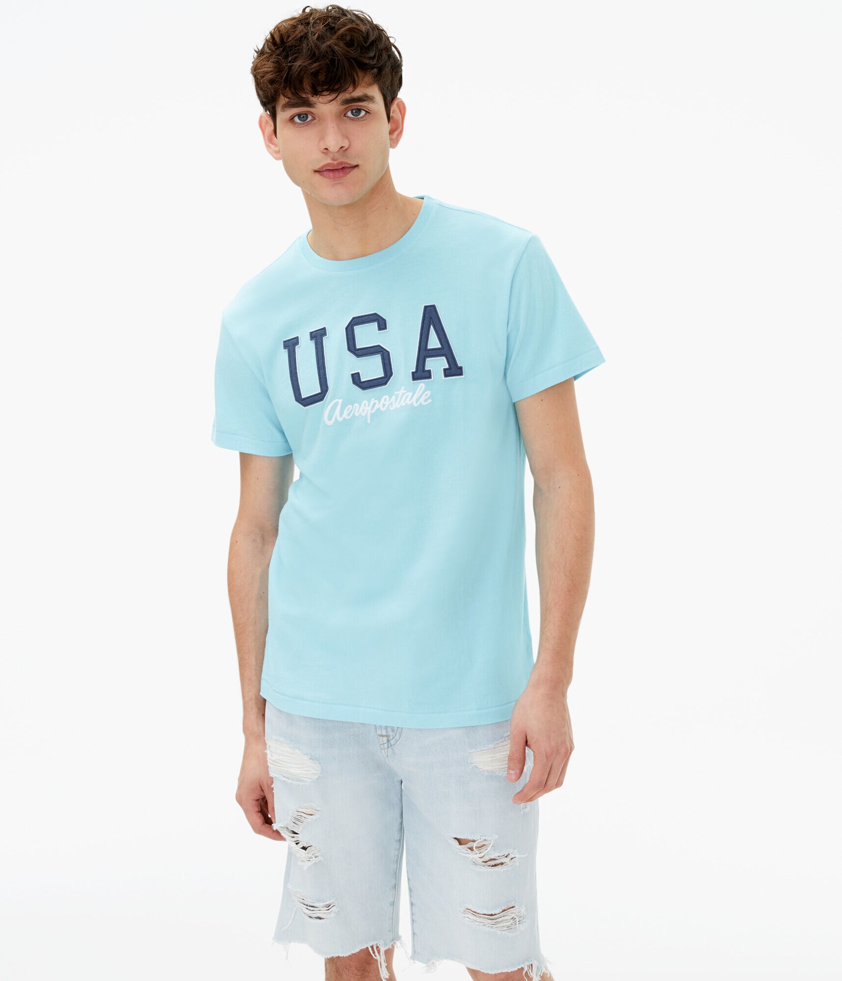 Aeropostale USA Appliqu&eacute; Graphic Tee