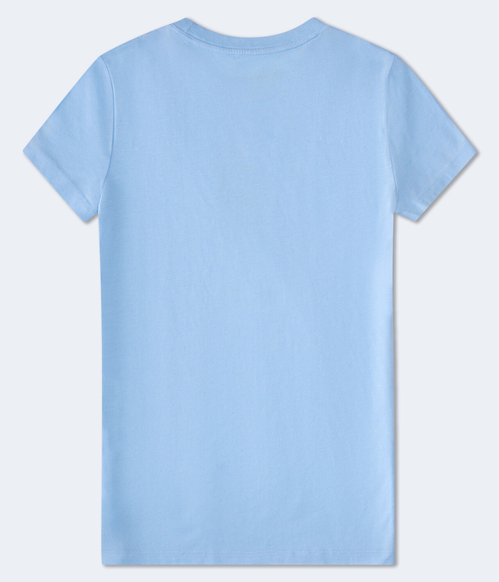 Aeropostale Floral Flocked Graphic Tee