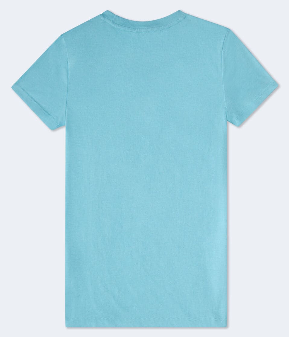 Aero Butterfly Foil Graphic Tee