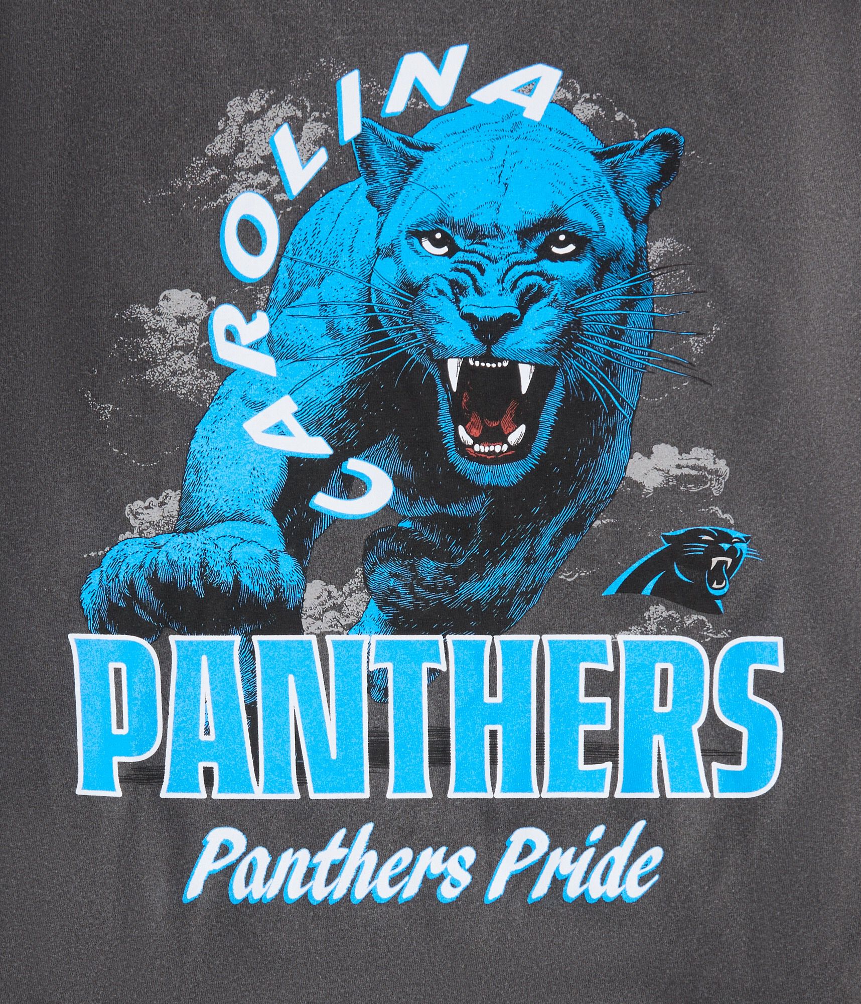 Carolina Panthers Mascot Relaxed Graphic Tee