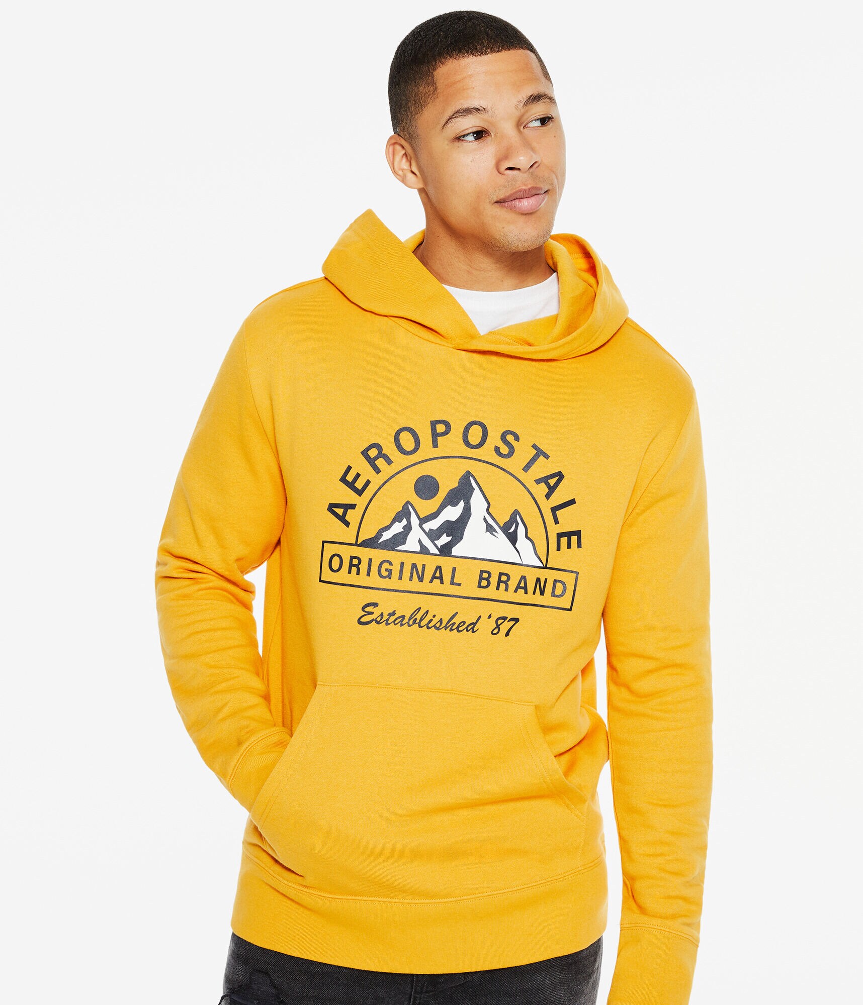 Aeropostale Mountains Pullover Hoodie