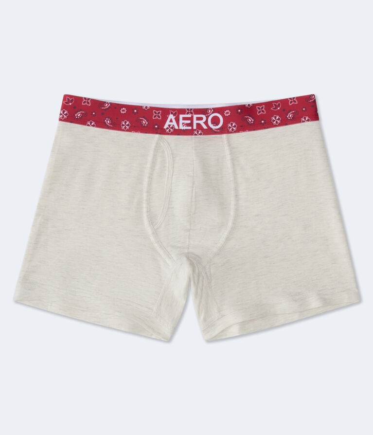 Bandana Print Waistband 4.5" Boxer Brief