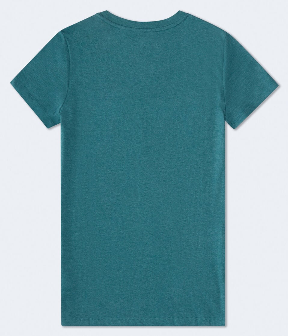 Aeropostale 1987 Butterfly Foil Graphic Tee