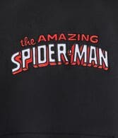 The Amazing Spider-Man Pullover Hoodie