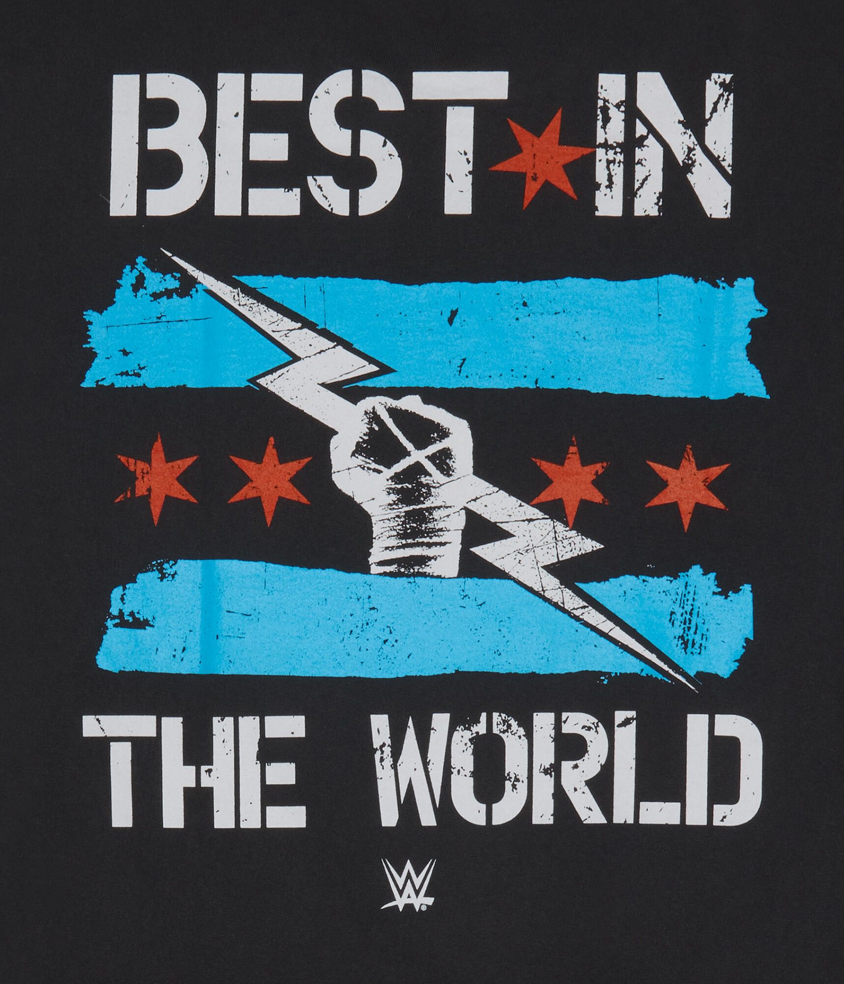 WWE CM Punk Relaxed Graphic Tee