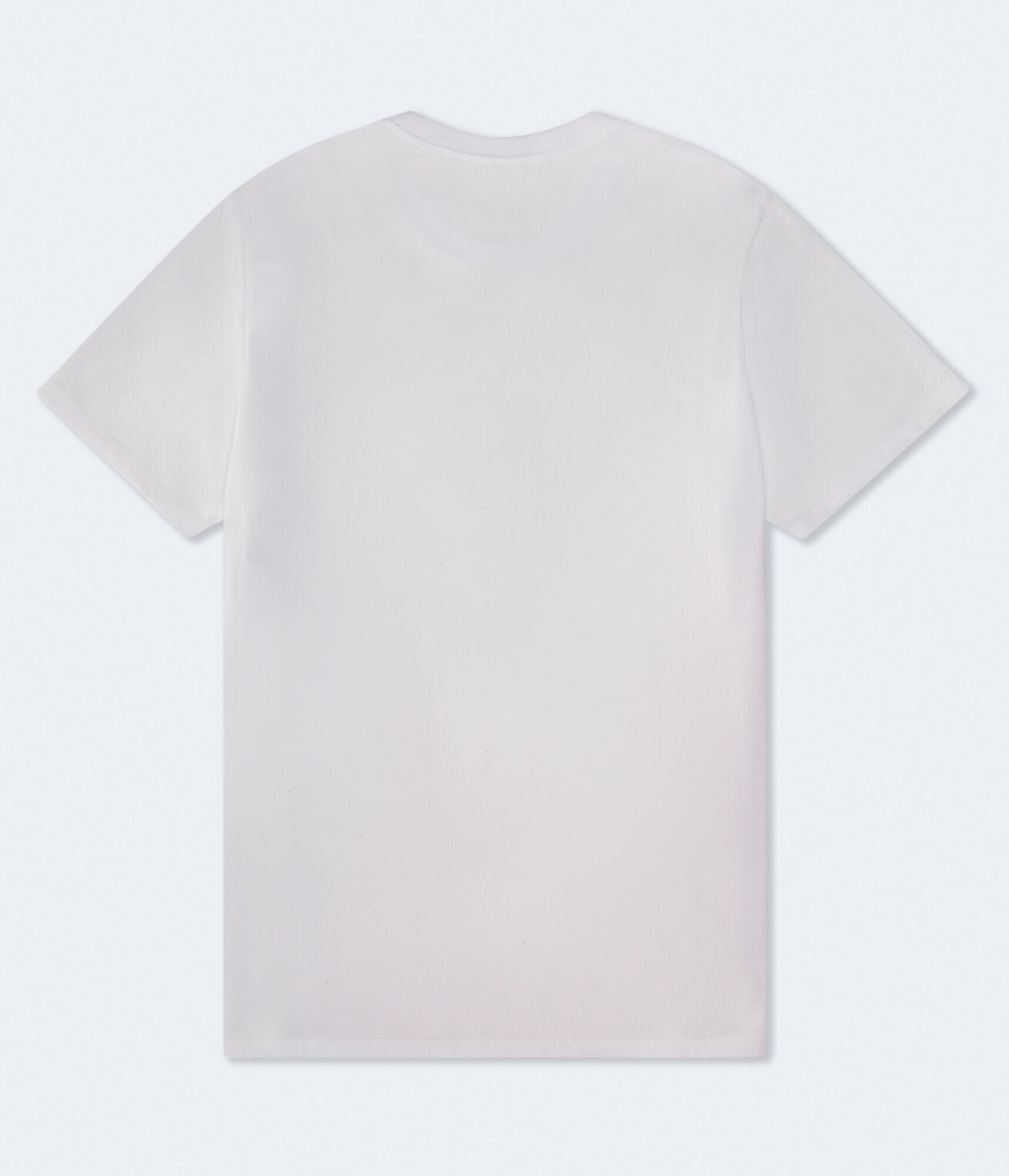 Wicked Glinda & Elphaba Oversized Graphic Tee