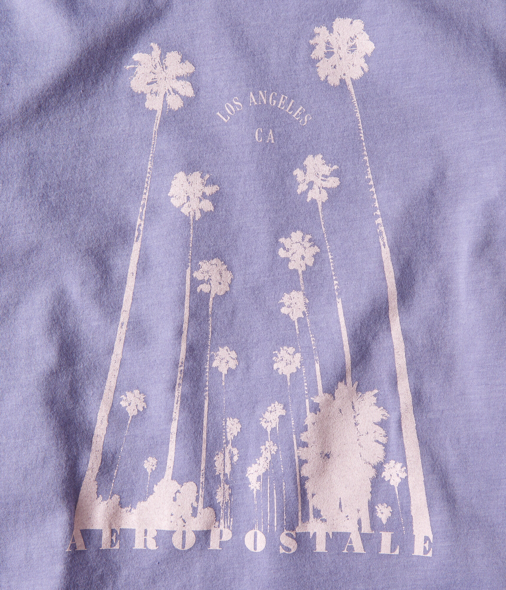 Los Angeles Palms Graphic Tee