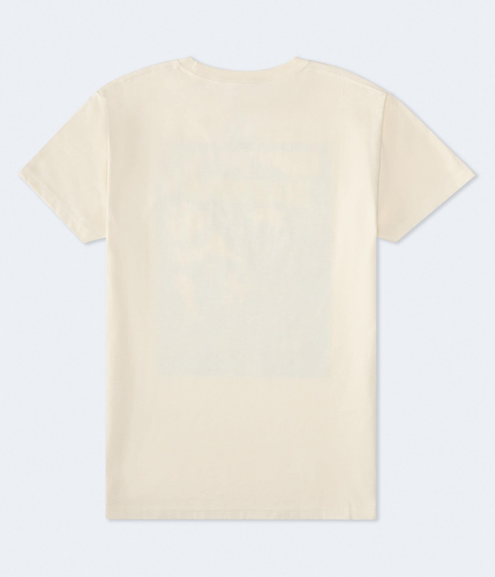 Batman & Nightwing Relaxed Graphic Tee